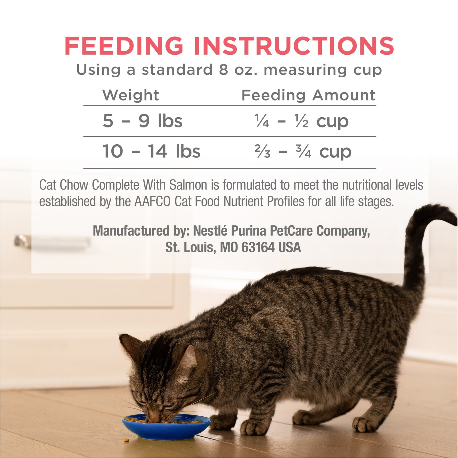 15 lb Bag Purina Complete Dry Cat Food High Protein Real Salmon Blend Complete