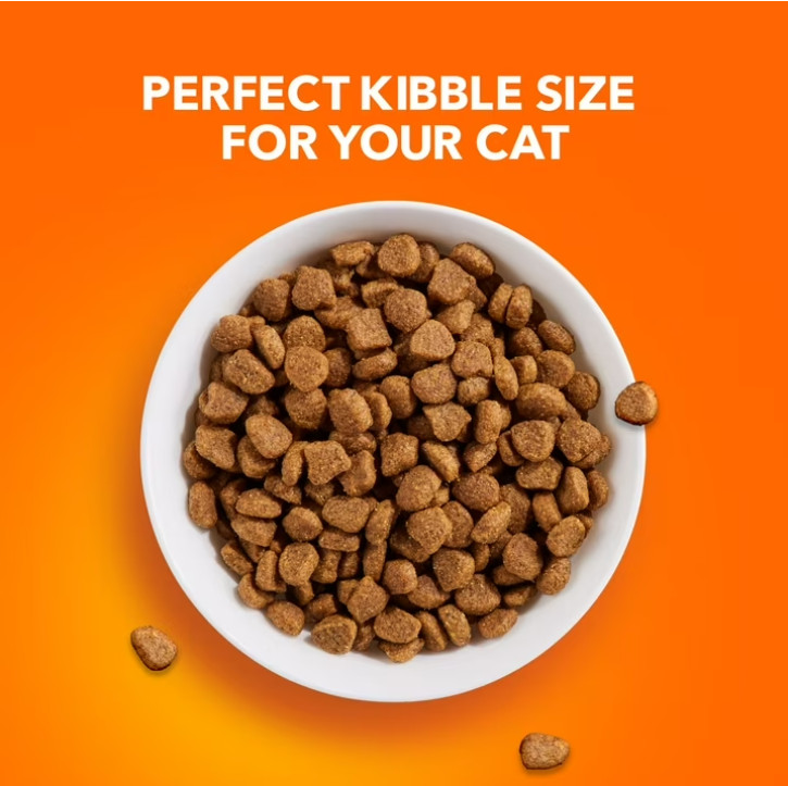 Iams Proactive Health Chicken Flavor Dry Cat Food, 22 Lb Bag