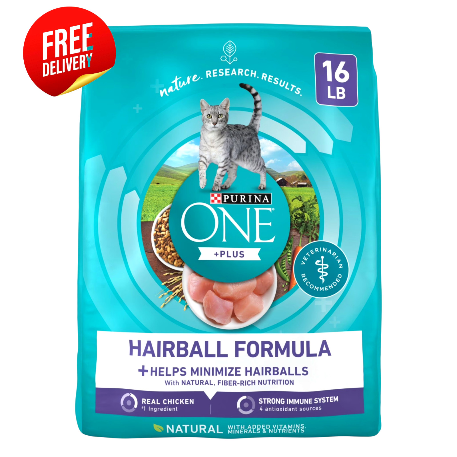 Purina ONE Plus Hairball Formula Dry Cat Food Chicken Adult 16 lb Bag