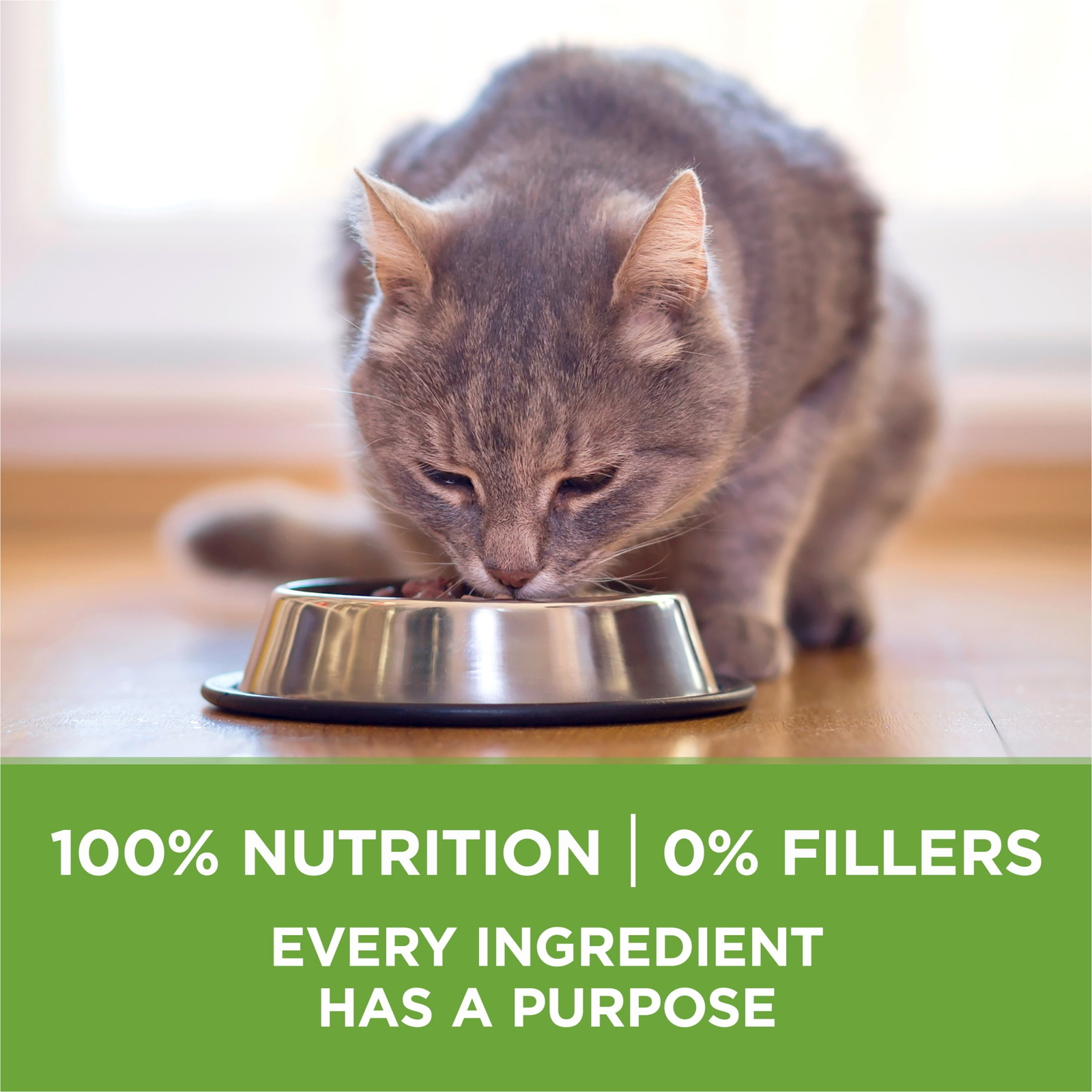 Plus, Indoor Advantage, Dry Cat Food, Turkey, 22 lb Bag