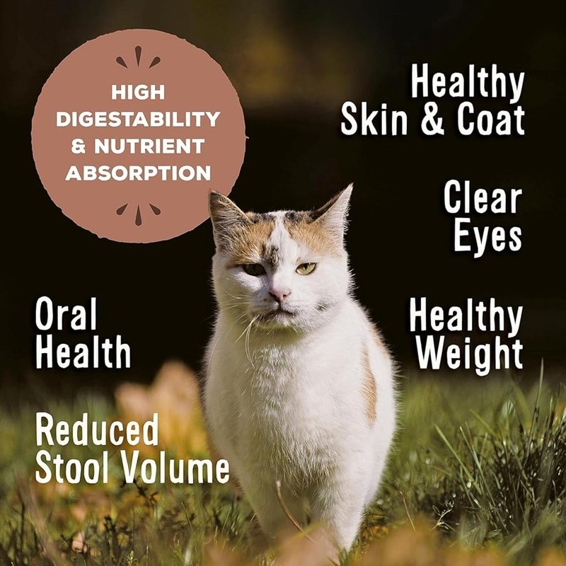 Freeze Dried Cat Food Chicken Salmon Grain Free Raw Nutrition All Life Stages US