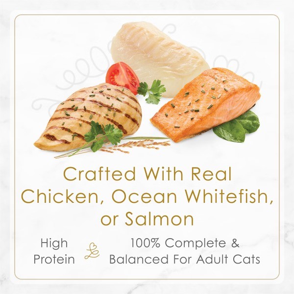 Gourmet Rice, Chicken, Seafood and Salmon Flavor Gravy Collection Variety Pack
