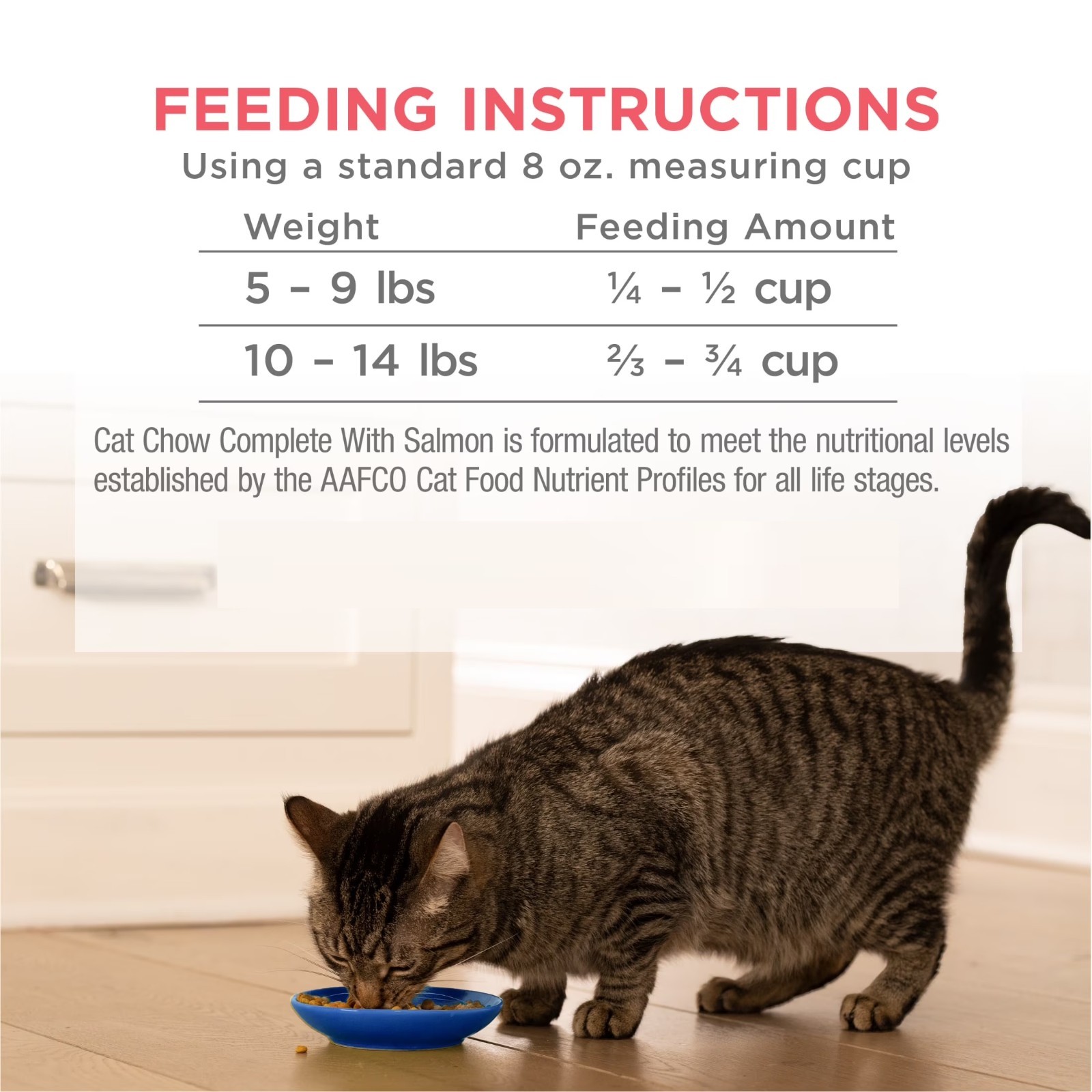 (2 pack) Purina Cat Chow Complete High Protein Dry Cat Food with Salmon, 15 lb