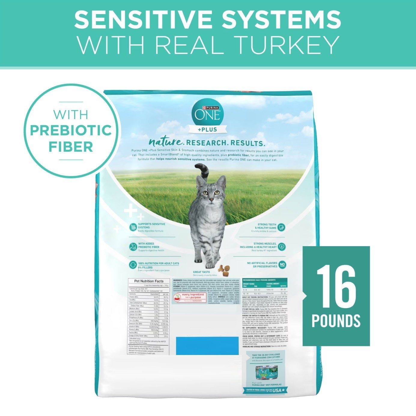 2 Pack Purina ONE Plus, Sensitive Skin & Stomach, Dry Cat Food, Turkey, 16 lb