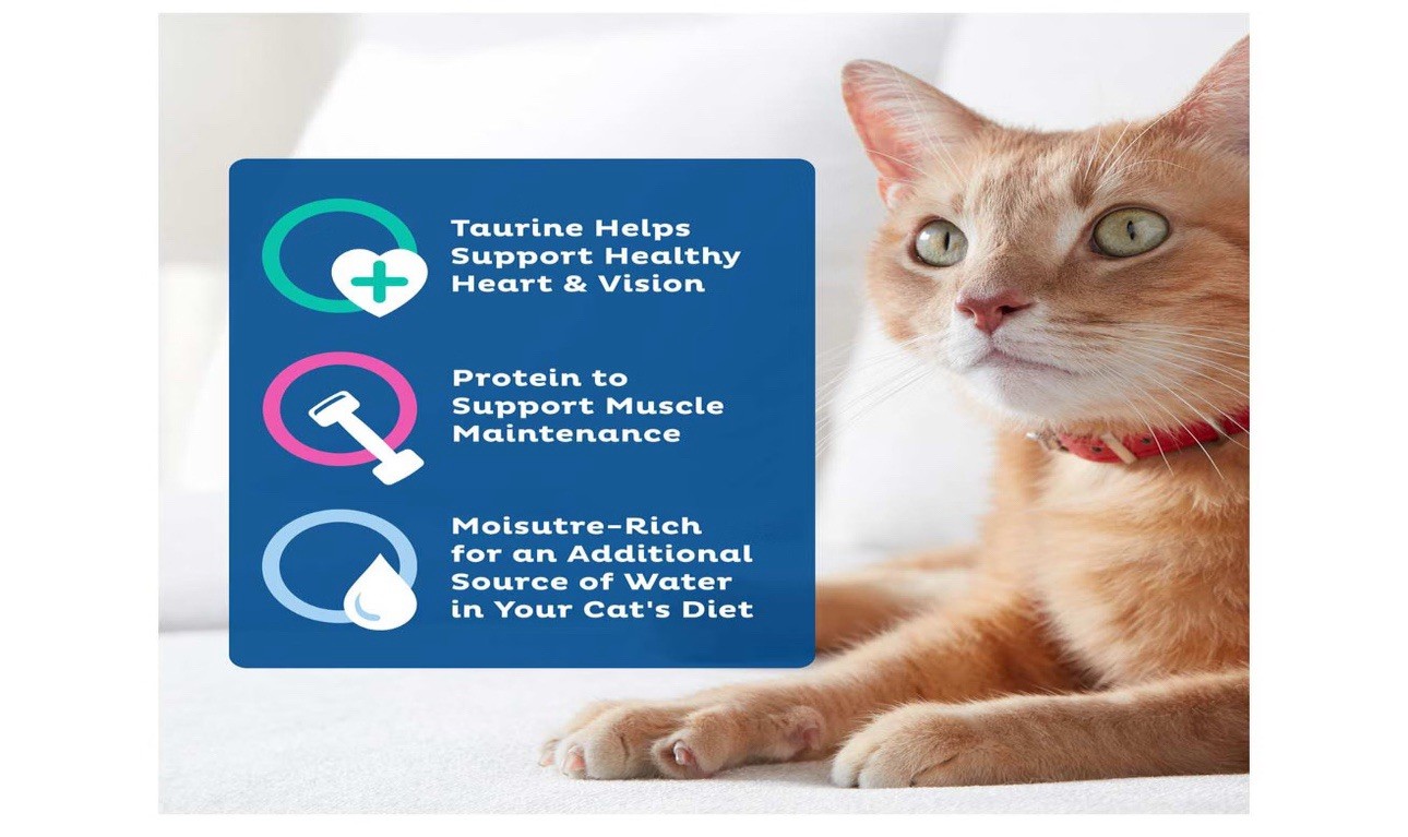 9Lives Seafood Platter Paté Wet Cat Food 5.5 oz Can, Moisture-Rich Taurine