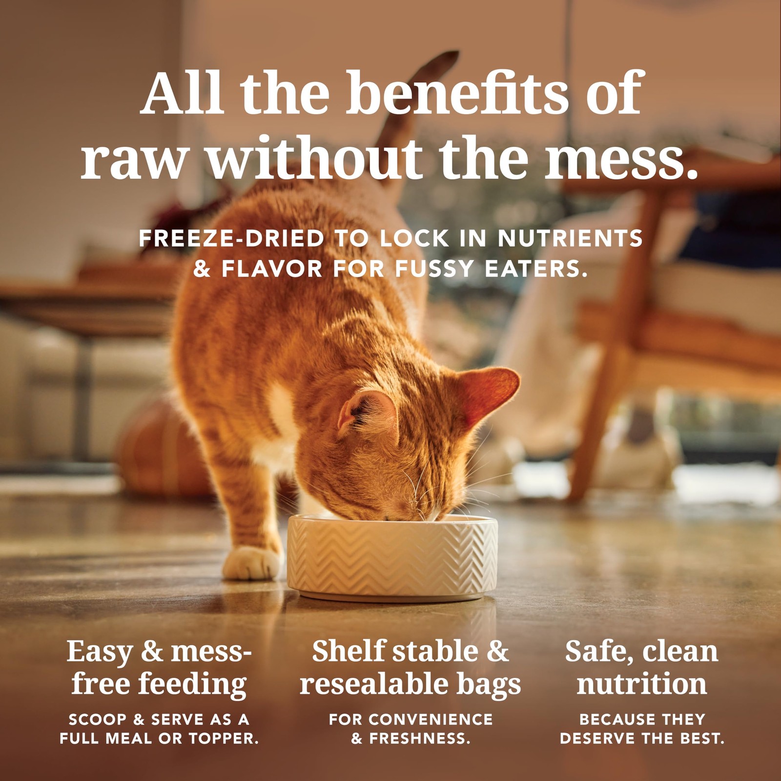 Feline Natural High Protein Dry Cat Food, Freeze-Dried 3.5 Ounce (Pack of 1)