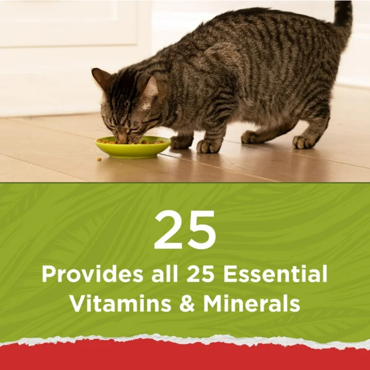 2 Pack Purina Cat Chow Naturals, Dry Cat Food, Chicken & Salmon, 18 lb Bag