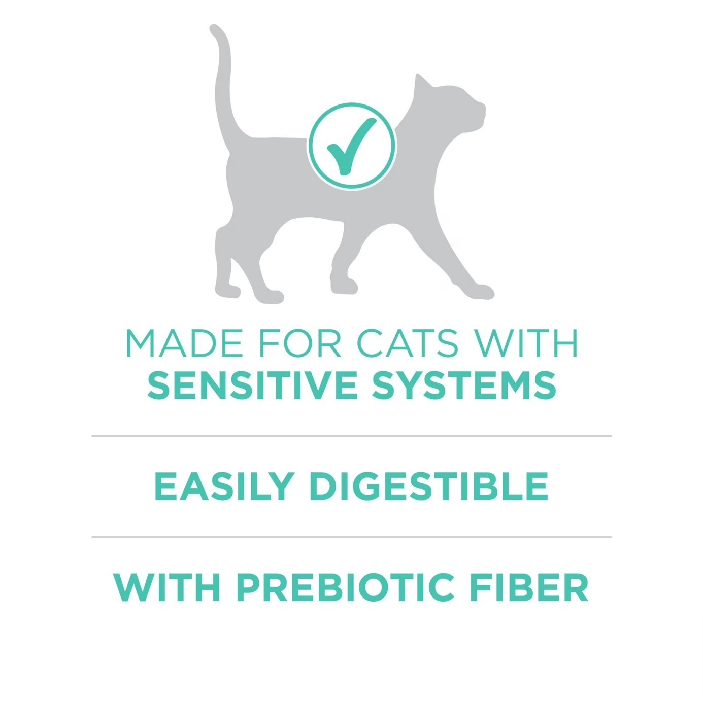 2 Pack Purina ONE Plus, Sensitive Skin & Stomach, Dry Cat Food, Turkey, 16 lb
