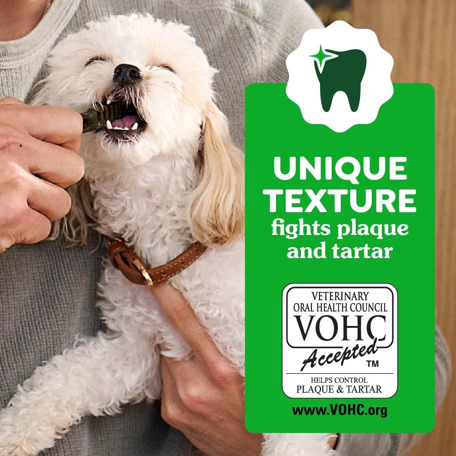 Greenies Dental Treats for Dogs, Veterinarian-Recommended Aging Care Adult Natur