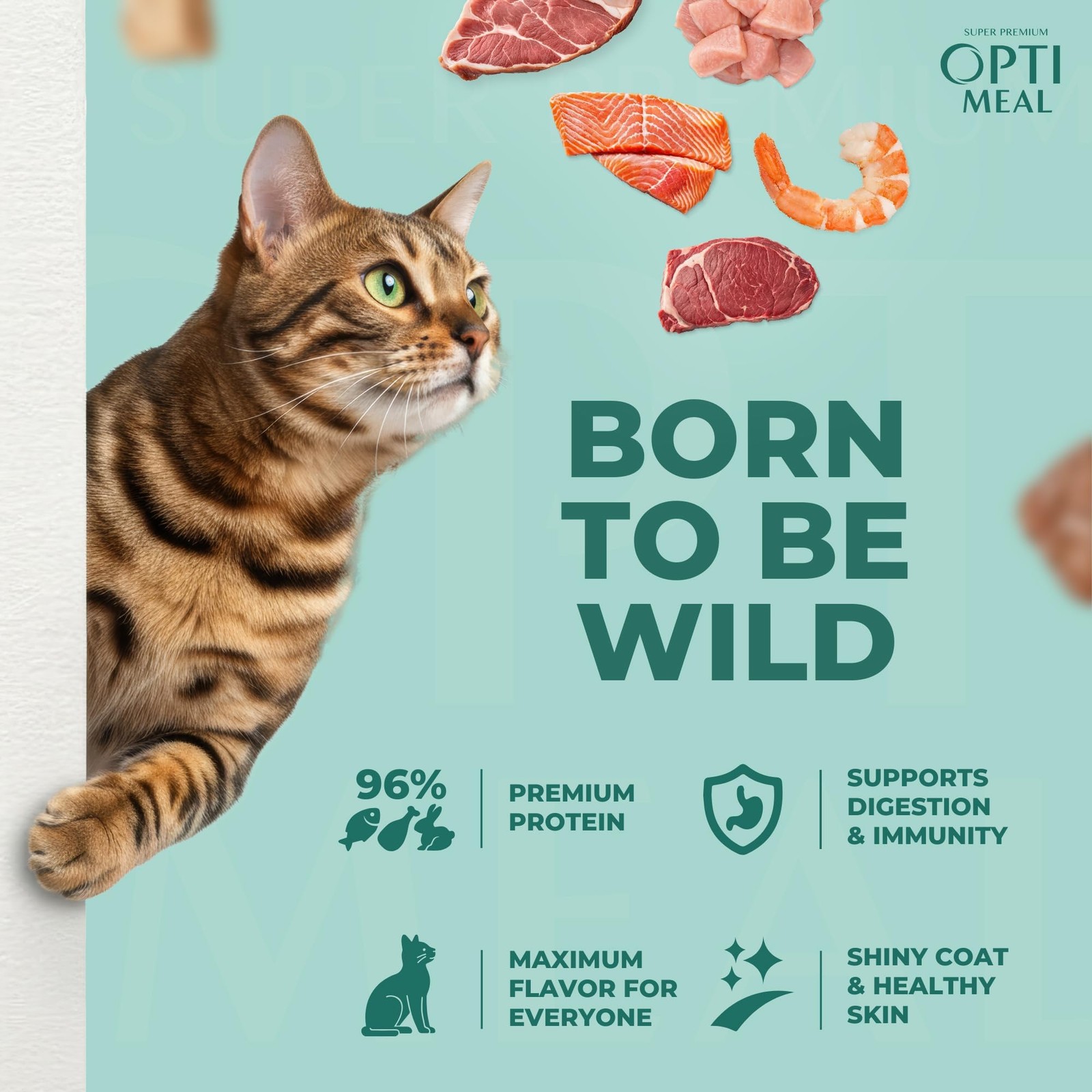 Grain-Free Wet Cat Food Pouches – Beef & Rabbit in Savory Gravy, High Protein &