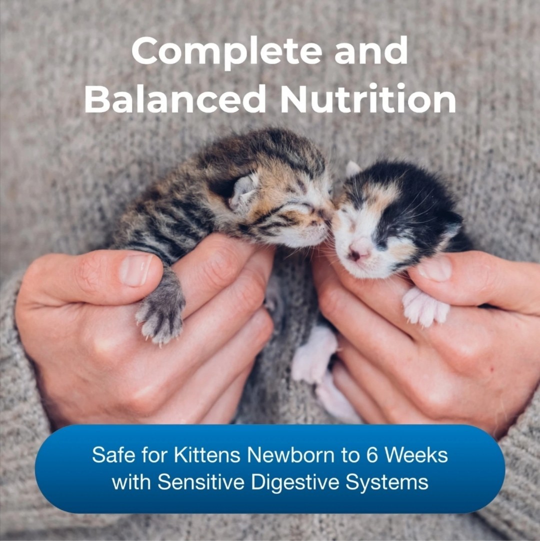 Pet Ag KMR Kitten Milk Replacer Liquid 11 Oz Ready to Feed Formula NEW!