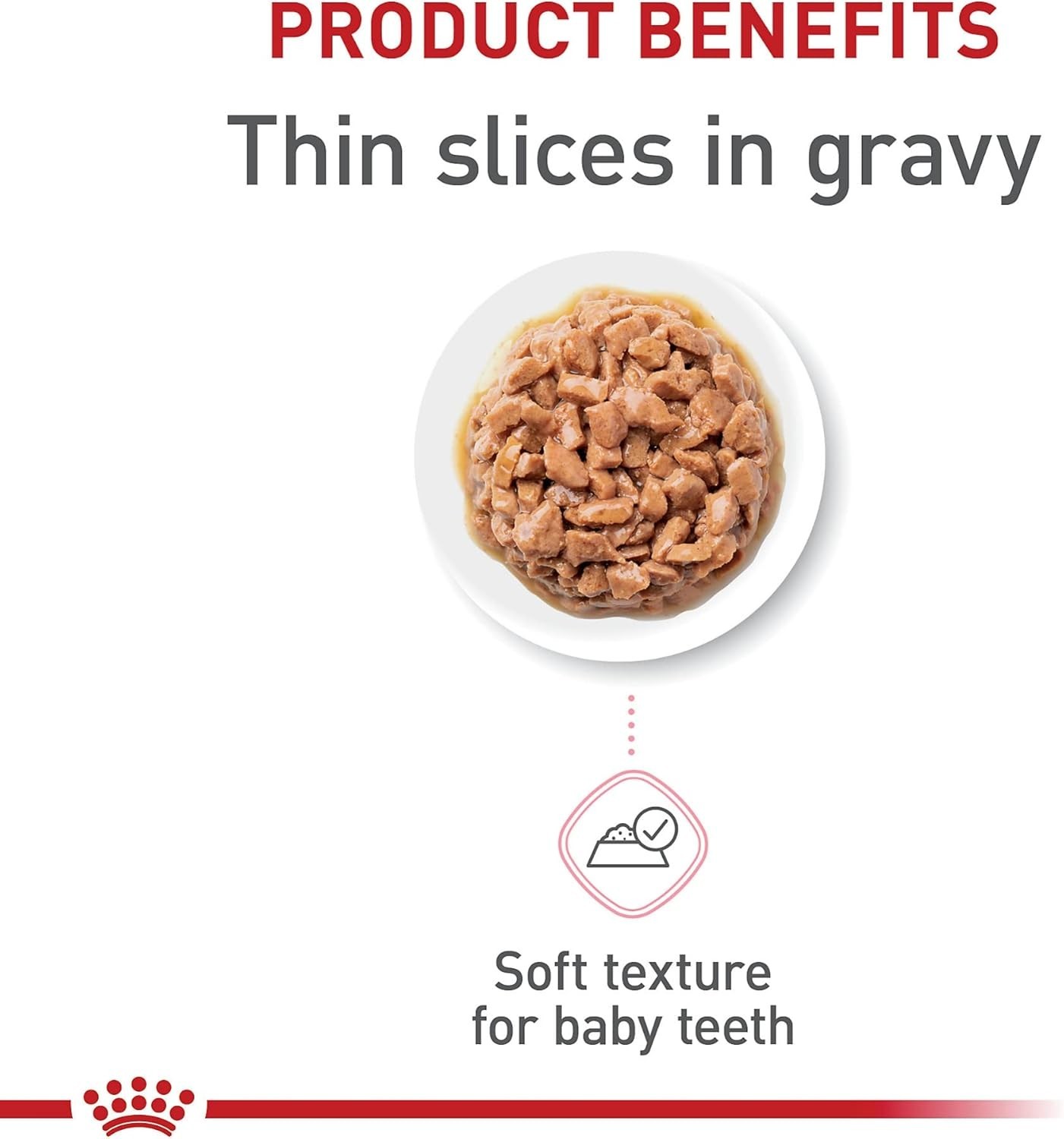 Royal Canin Kitten Up to 12 months | Thin Slices in Gravy | Cat Food, Pack of 12