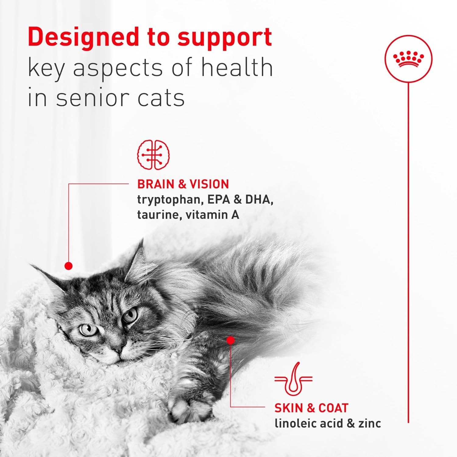 Royal Canin Feline Senior 11+ Wet Cat Food – Slices in Gravy, 3 Oz x 24 Cans