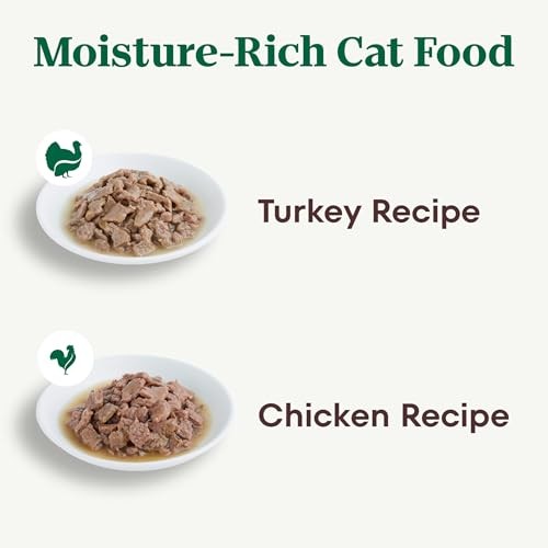 Nutro Perfect Portions Wet Cat Food Gravy Cuts Variety Pack, Cat Food Wet Rec…