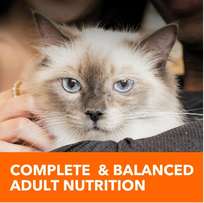 Iams Proactive Health Urinary Tract Chicken Dry Cat Food, 7 lb