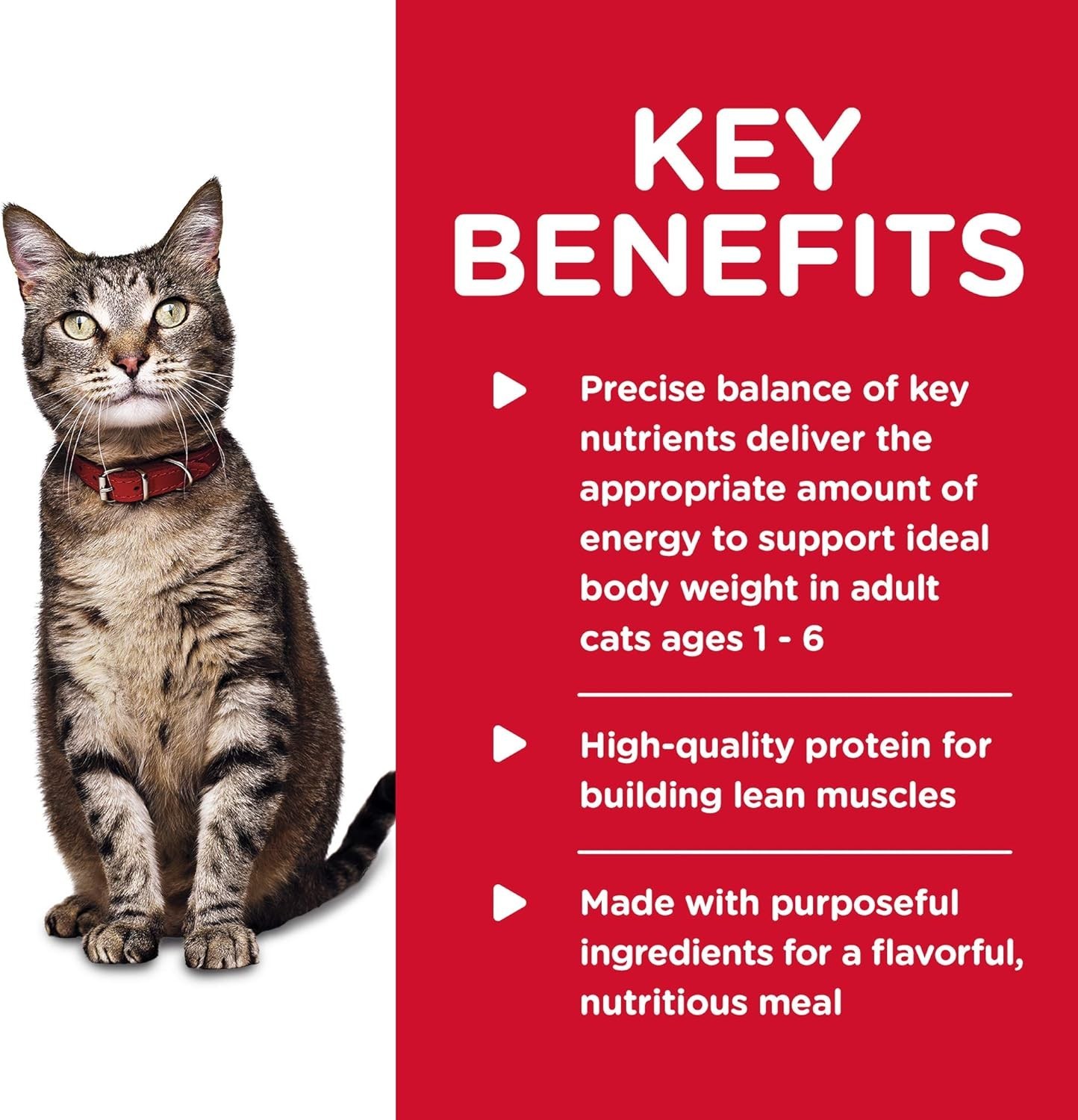 Hill’s Science Diet Adult Wet Cat Food, Chicken Minced, 5.5 oz. Cans, 24-Pack