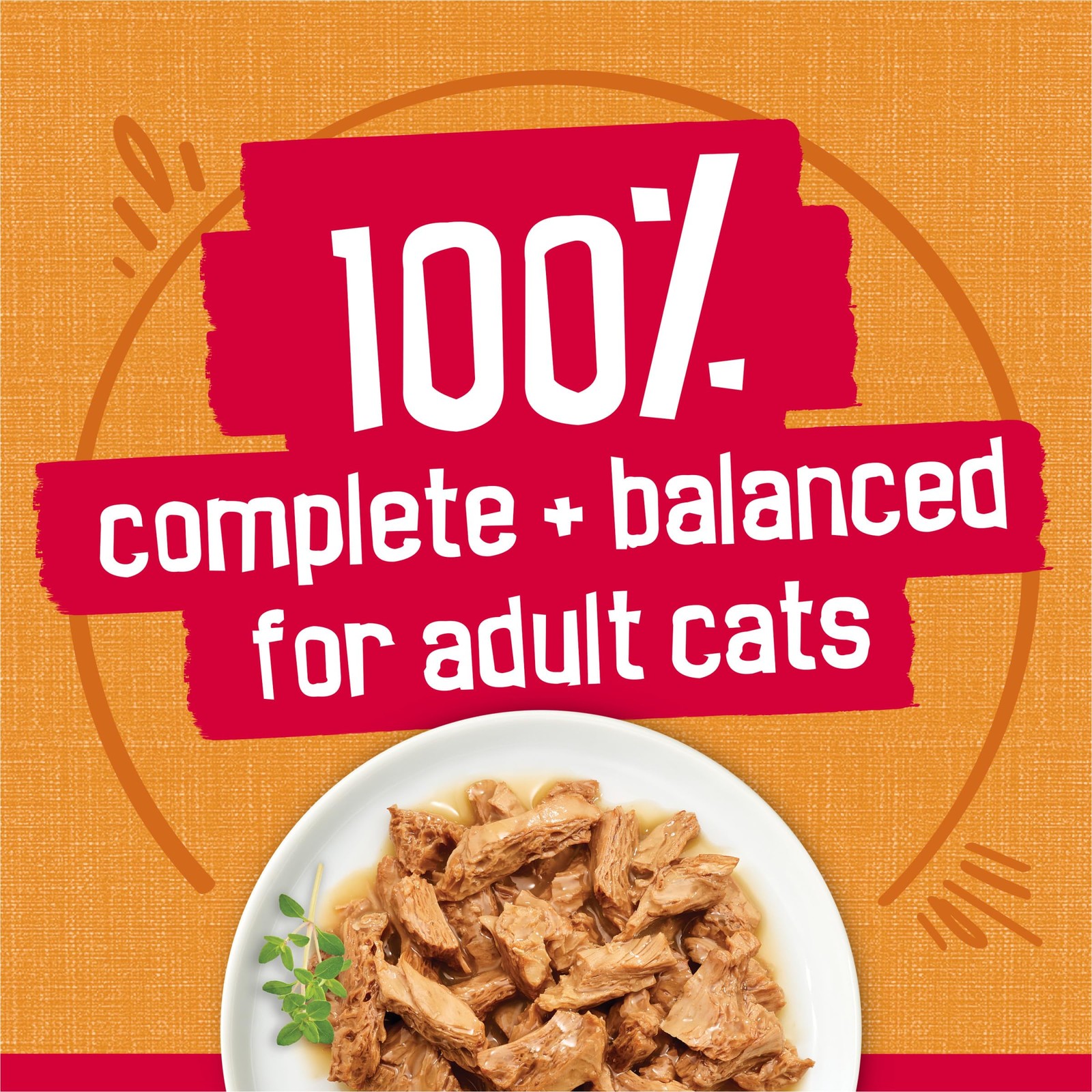 Purina Friskies Prime Filets With Chicken in 5.5 Ounce (Pack of 24),