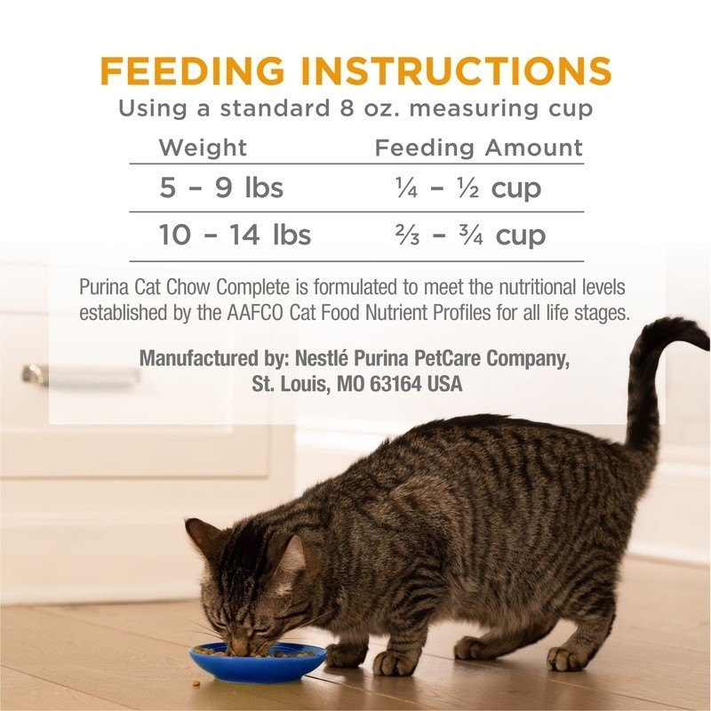 High Protein Dry Cat Food W/ Real Chicken 25 Essential Nutrients All Life Stages