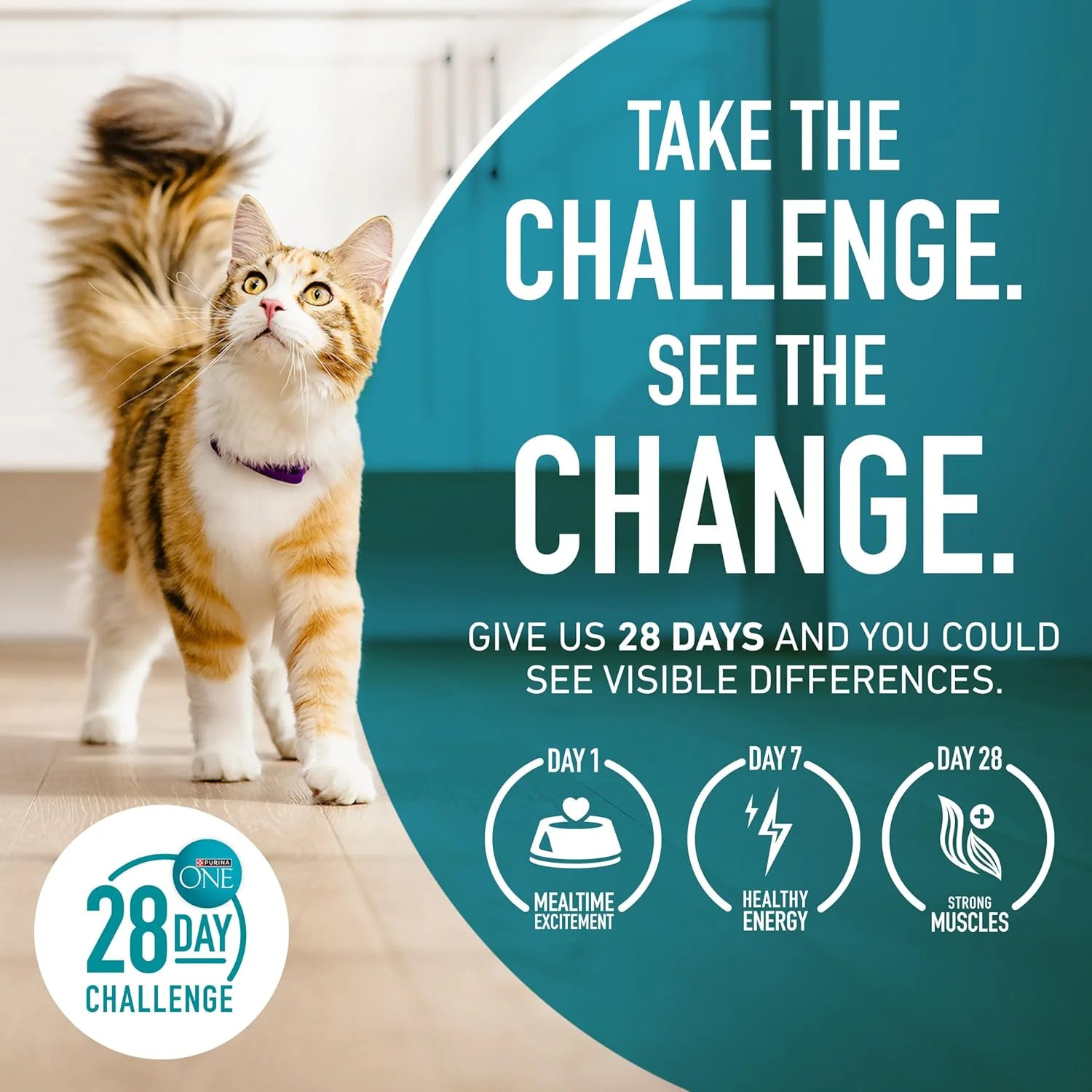 Purina ONE High Protein, Natural Senior Dry Cat Food, Indoor Advantage Senior+ –