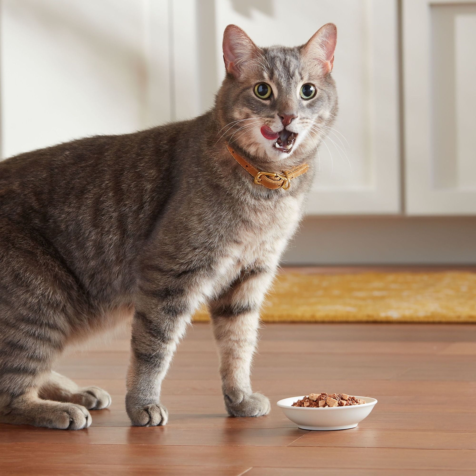 Wet Cat Food Variety Pack, Poultry Selects, 24 Cups, 2.75 oz Each