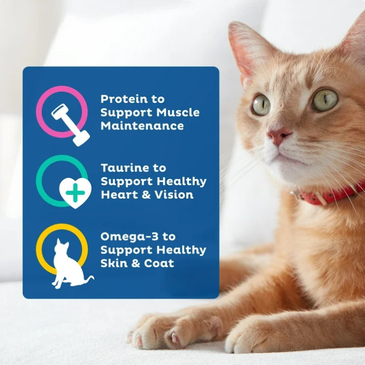 3 Bag 9Lives Daily Essentials Dry Cat Food w Chicken, Beef&Salmon,15.5 lb Bag