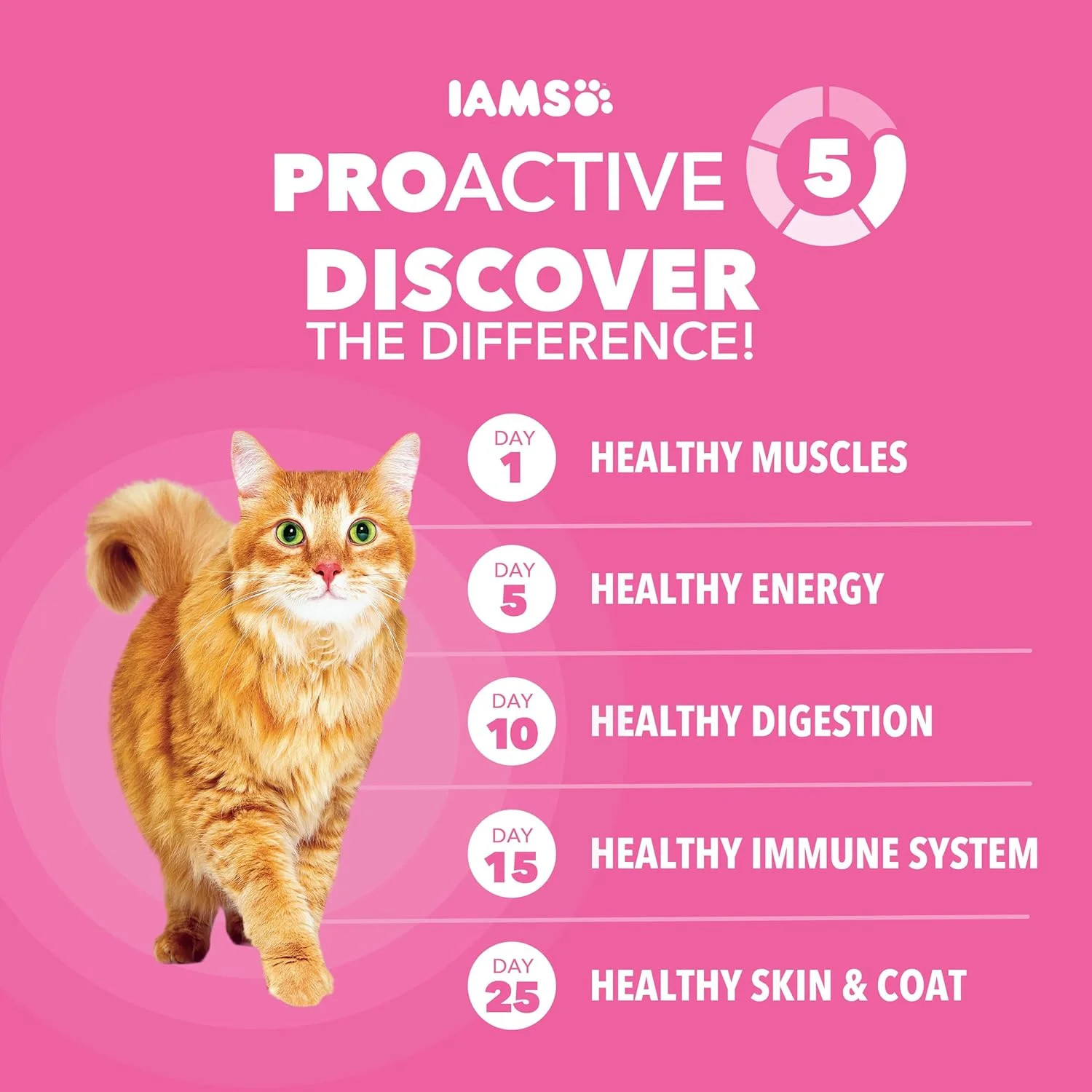 IAMS Proactive Health Sensitive Digestion & Skin Dry Cat Food, Adult Cat Food Dr