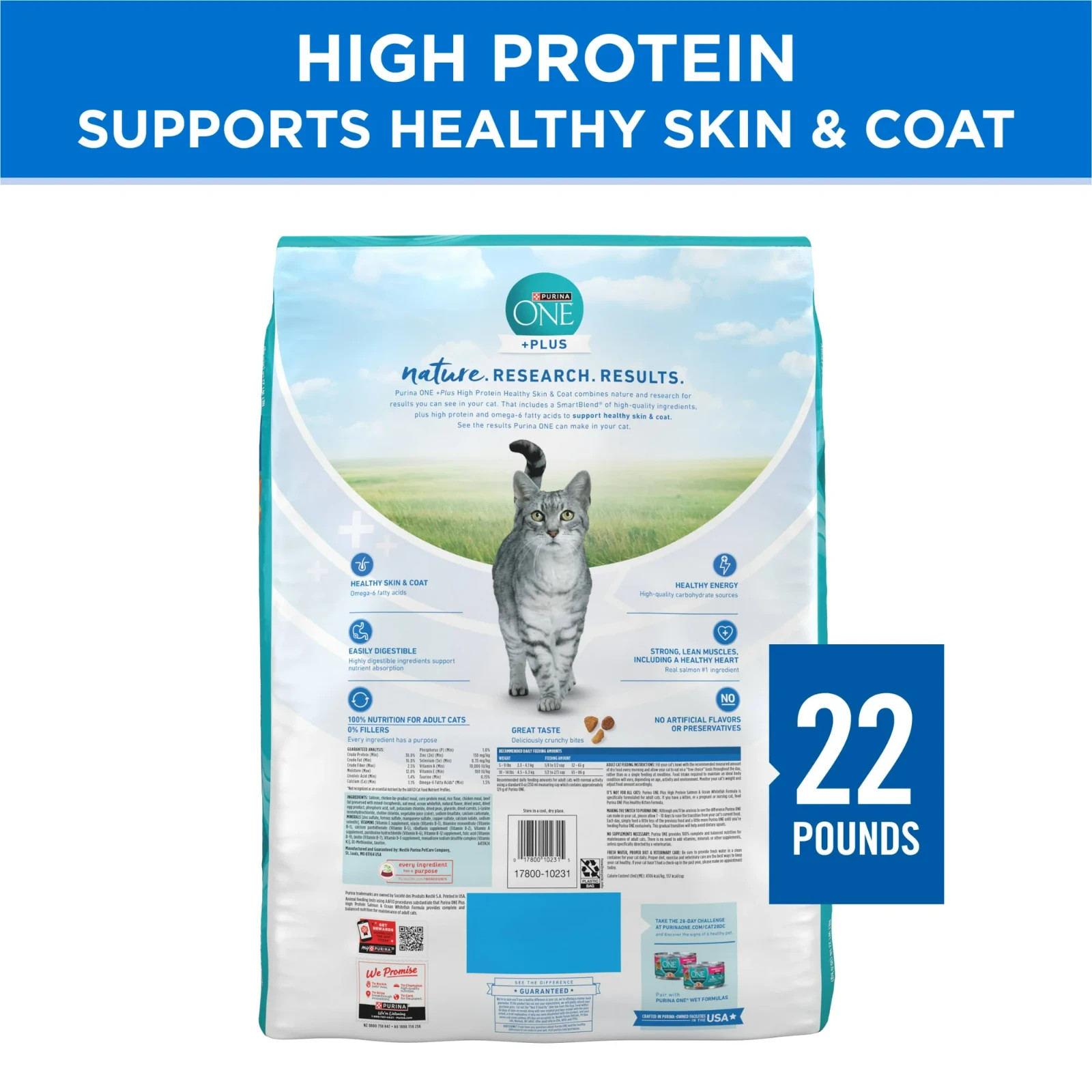 Purina ONE Plus Skin & Coat Salmon Whitefish High Protein Dry Cat Food 22 lb New