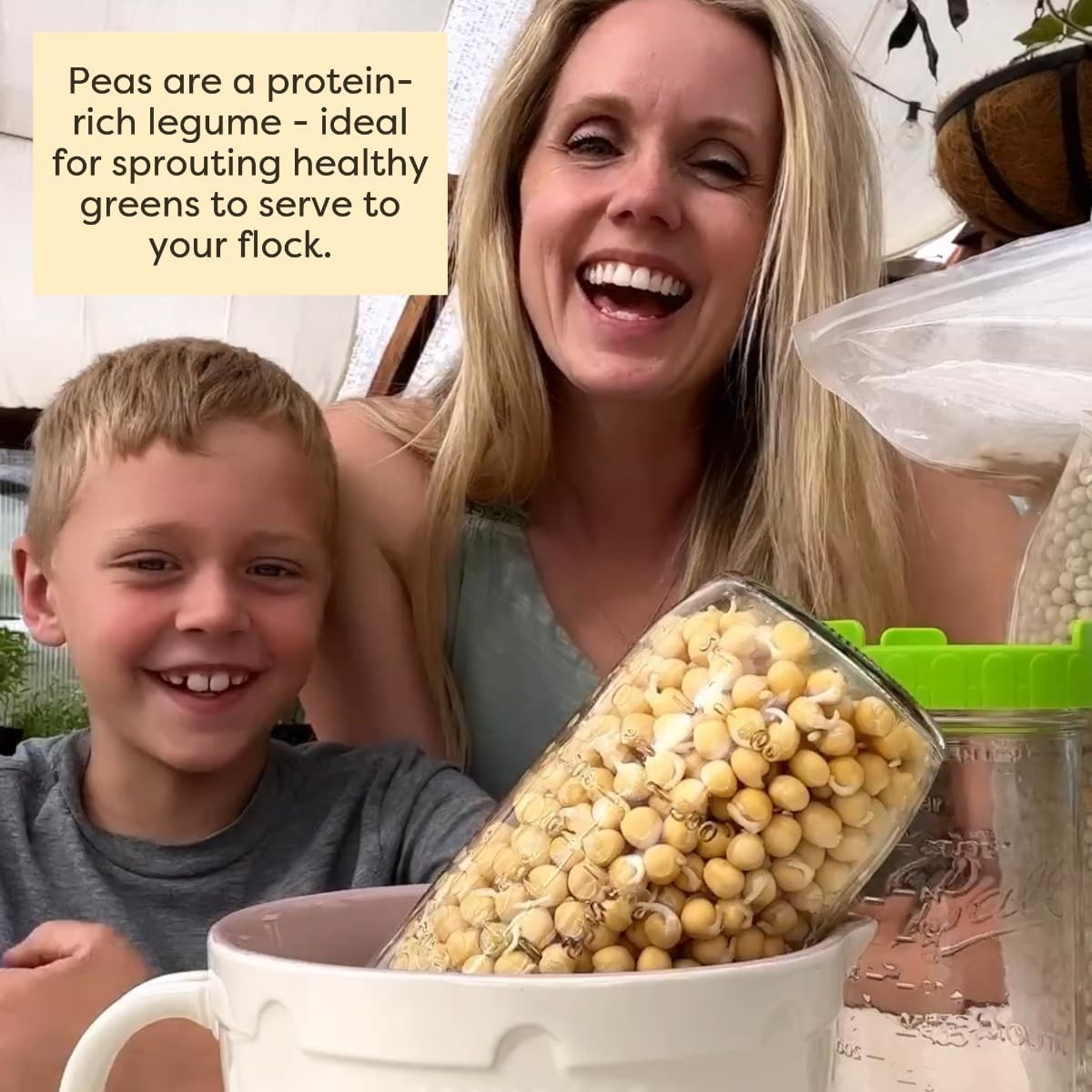 Scratch & Peck Feeds Peas Poultry & Livestock Grain 10 lb Pouch 20% Protein