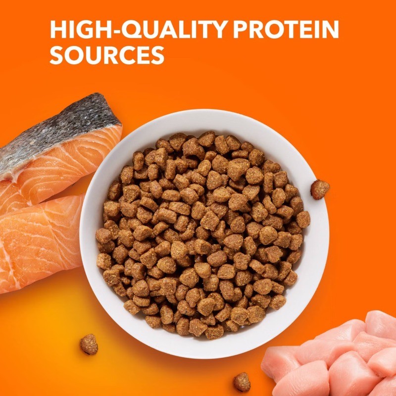 IAMS Proactive Health with Salmon Adult Premium Dry Cat Food – 16lbs