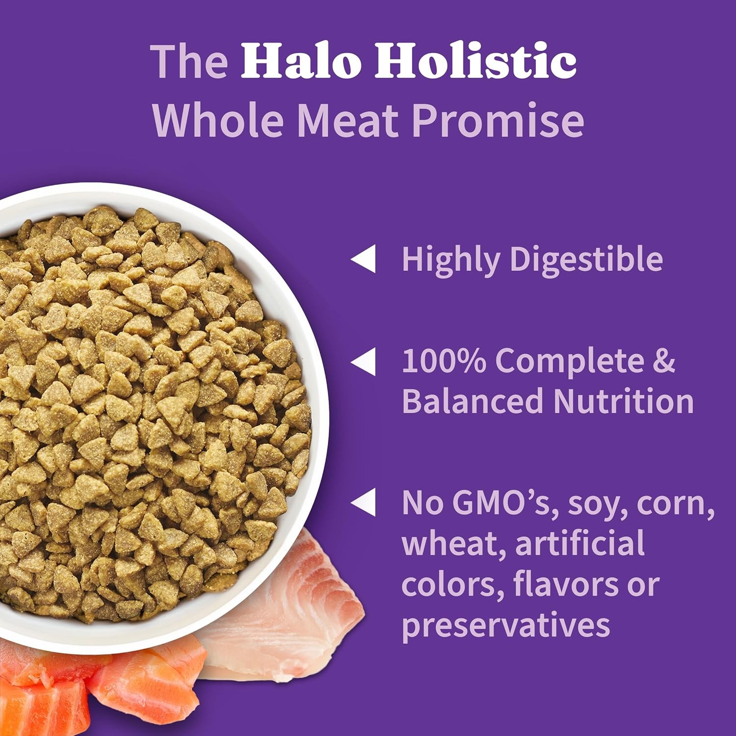 Holistic Indoor Cat Food Dry Grain Free Wild-caught Salmon & Whitefish Recipe