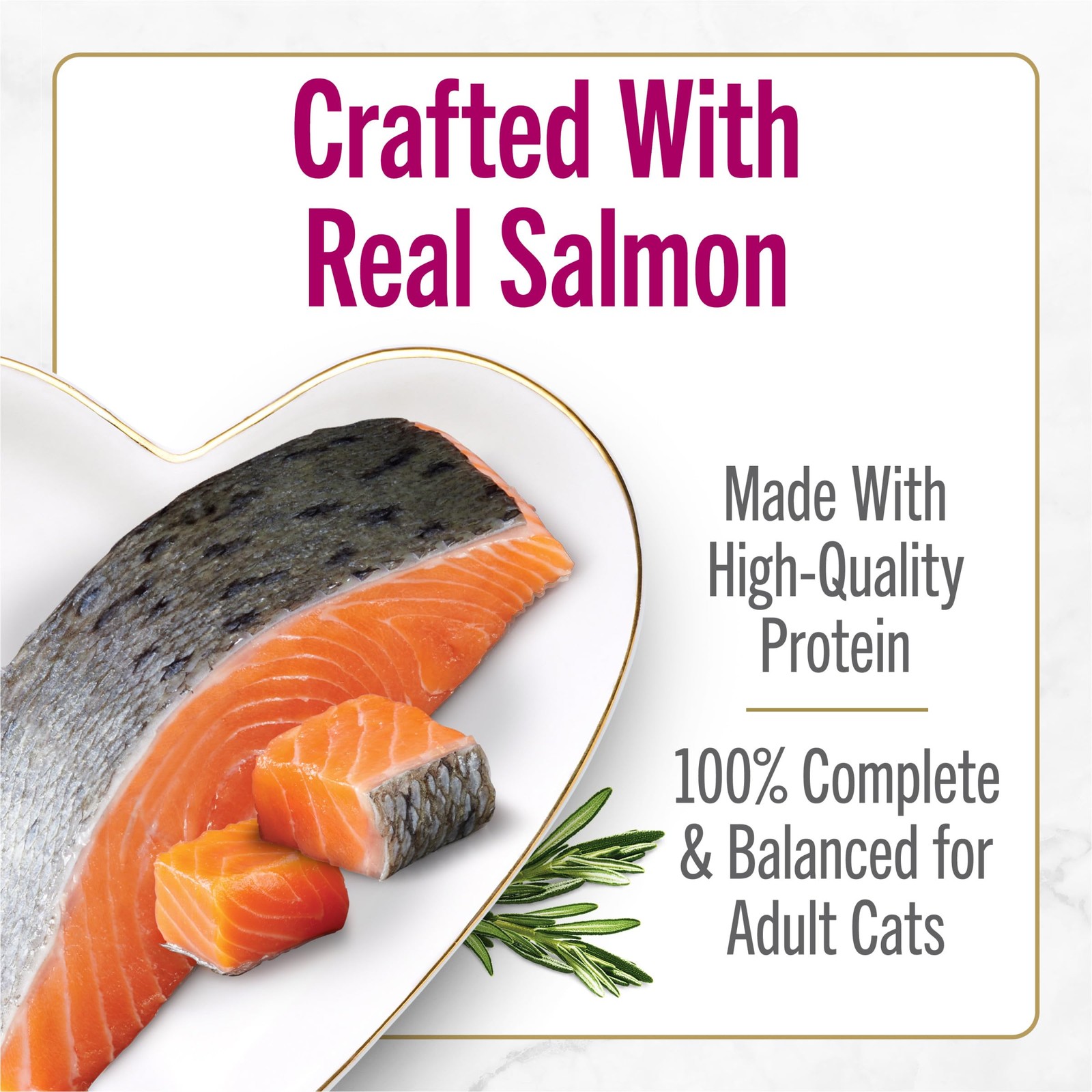 Purina Fancy Feast Savory 3 Ounce (Pack of 24), Salmon with Gravy Center