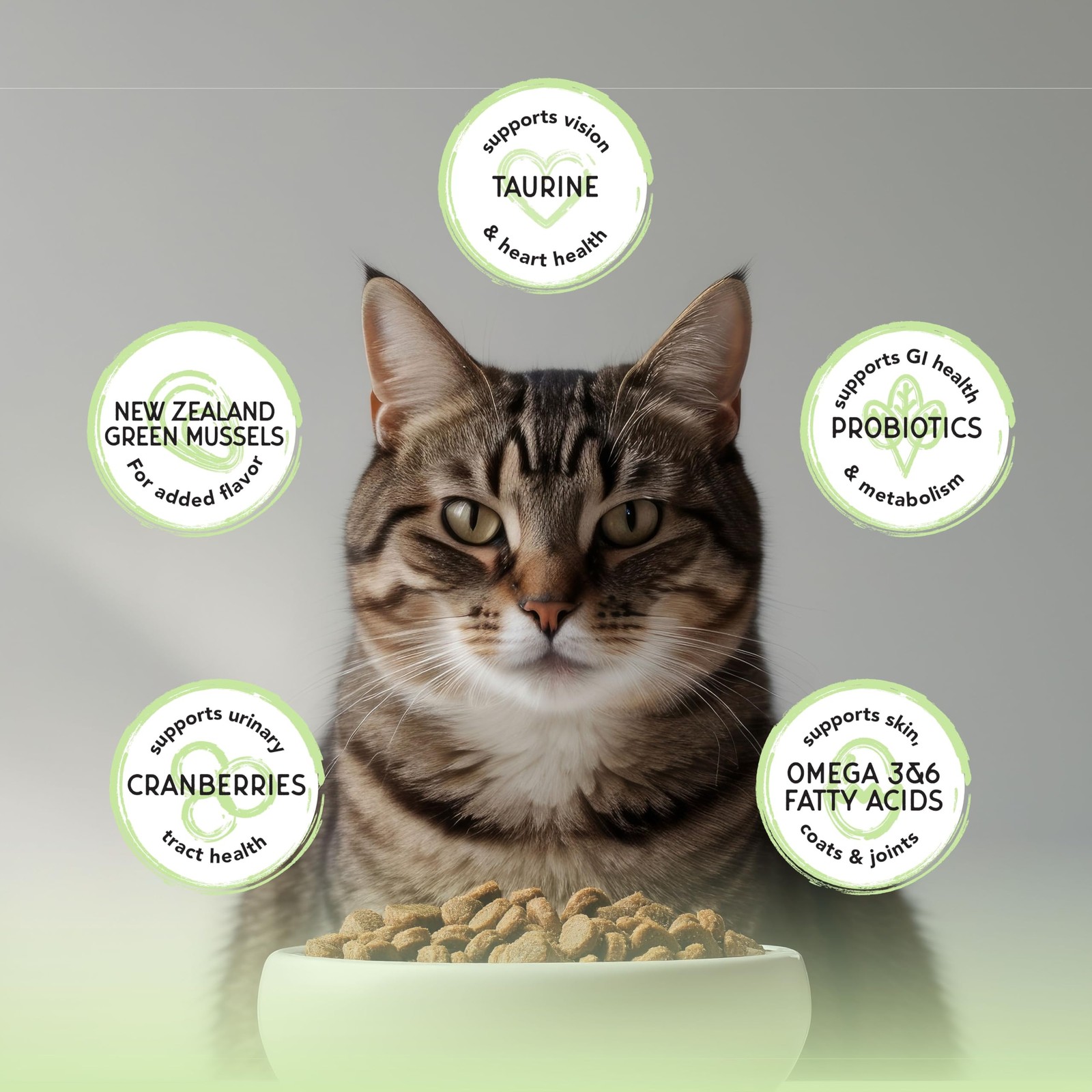 Blackwood Bounty Dry Cat Food, Whitefish & Lentil Recipe 10 Pound (Pack of 1)