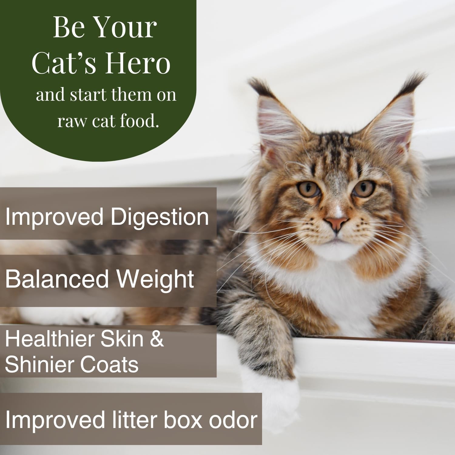 Freeze Dried Complete & Balanced Cat Food Mix | Multi-Protein Meal for Optima…