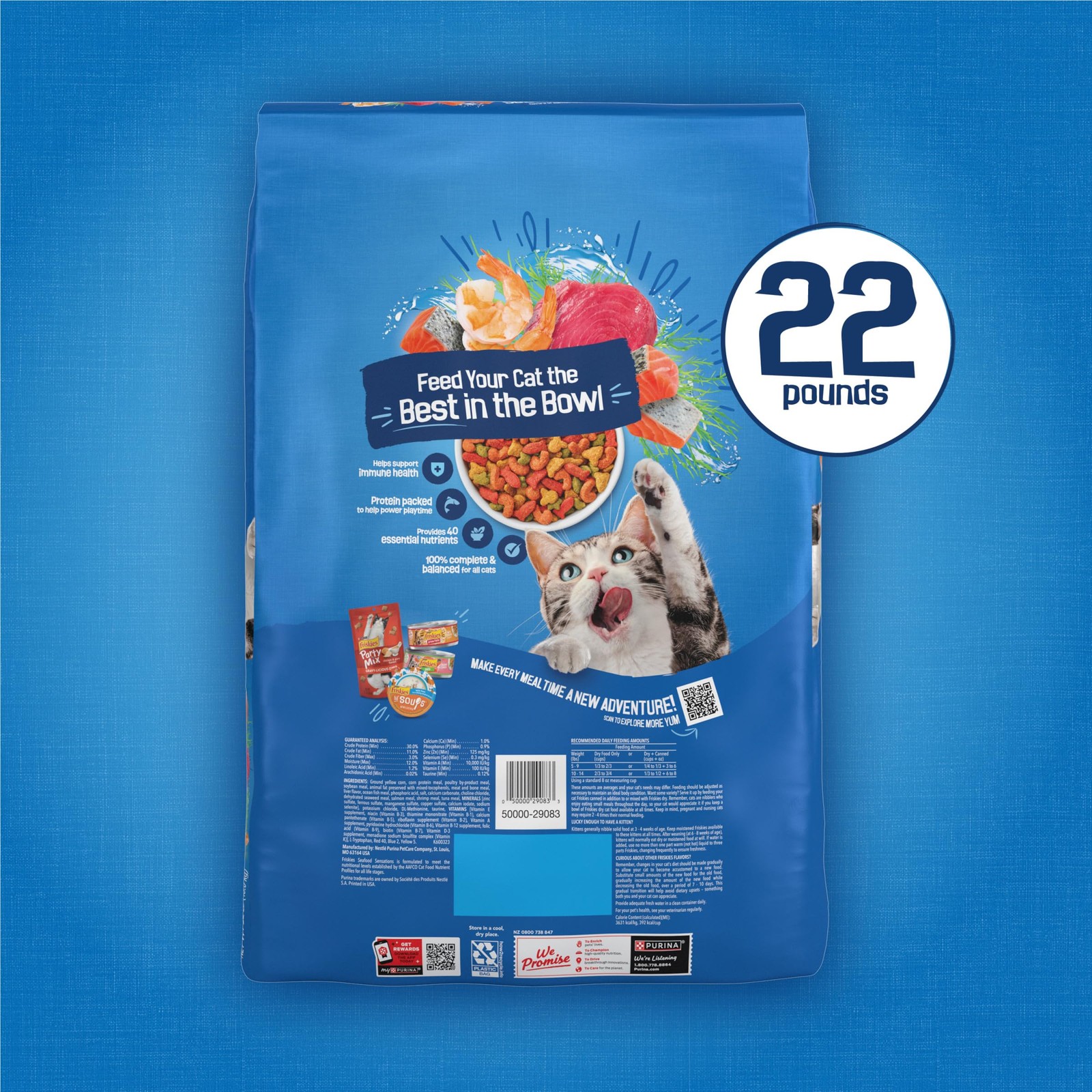Purina Friskies Dry Cat Food Seafood Sensations With 22 Pound (Pack of 1)