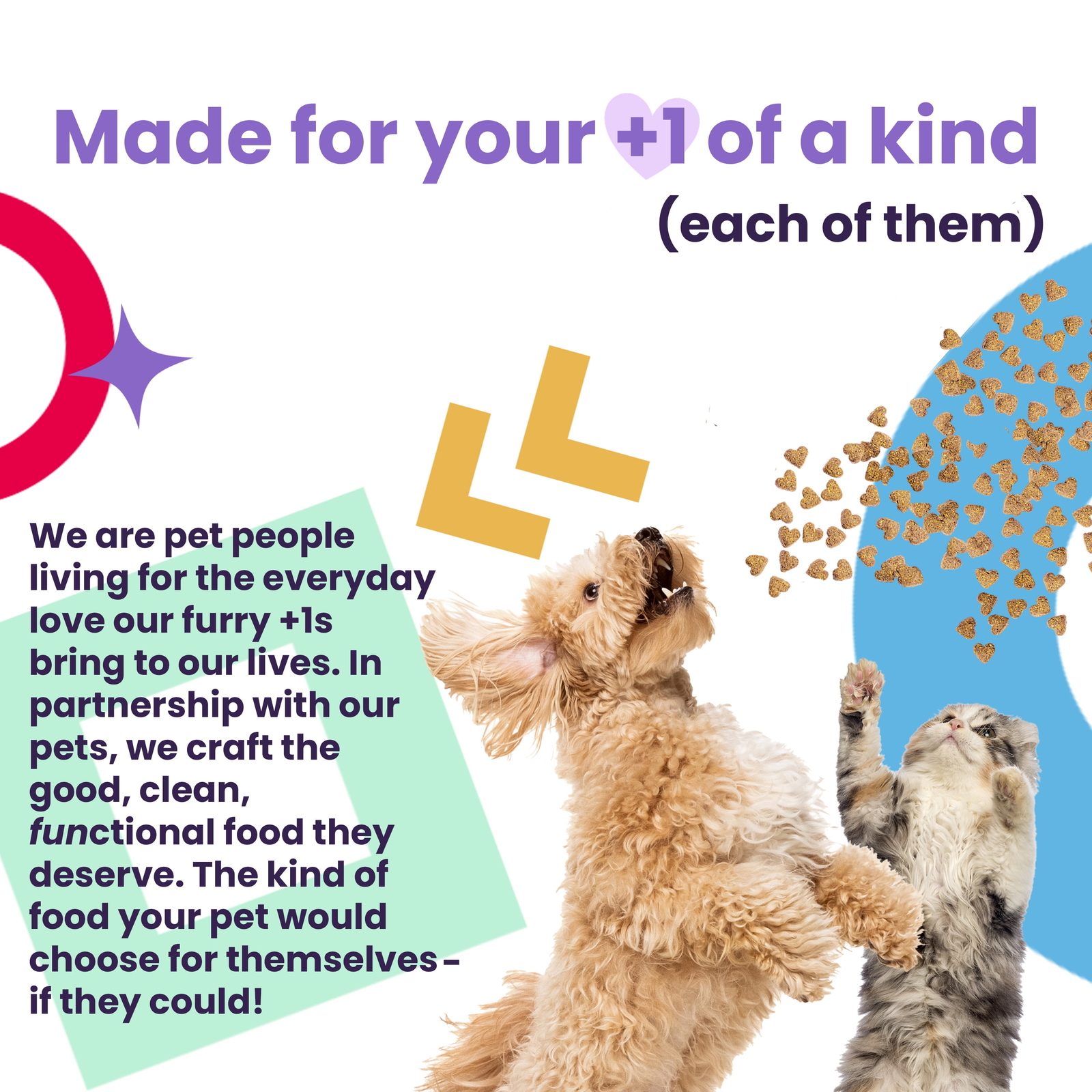 Xoxos, Whitefish, and Tuna Pate’ Canned Wet Cat Food