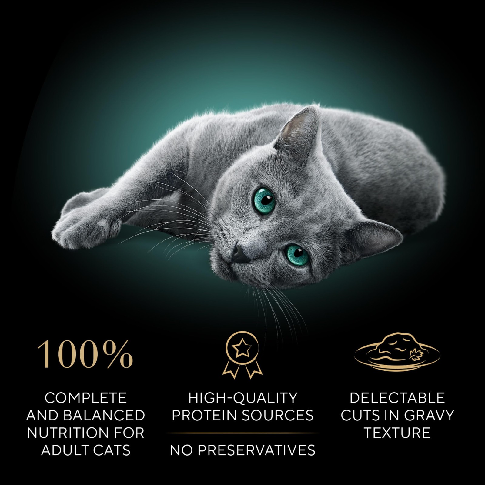 Perfect Portions Wet Cat Food Cuts in Gravy, Cat Food Wet Recipe, Roasted Chi…