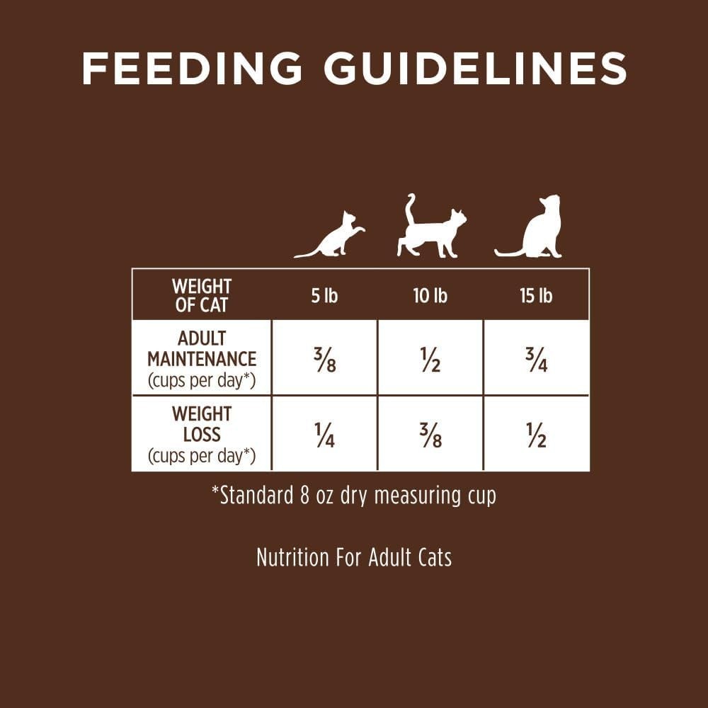 Ultimate Protein Grain Free Cage Free Chicken Recipe Natural Dry Cat Food 10 lb.