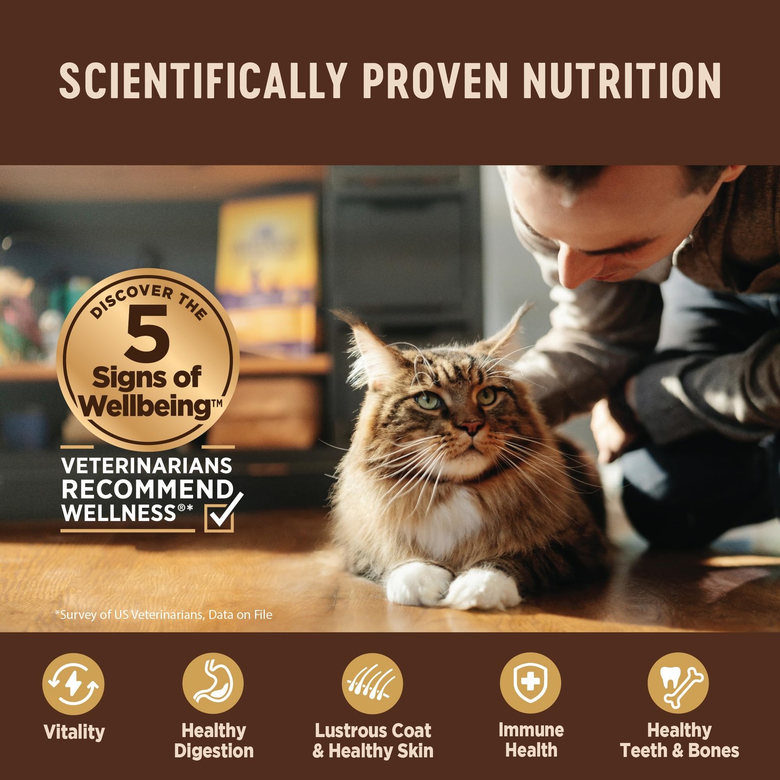 CORE Pate Kitten Canned Wet Cat Food, Natural, Protein Rich, Grain Free, Turk…