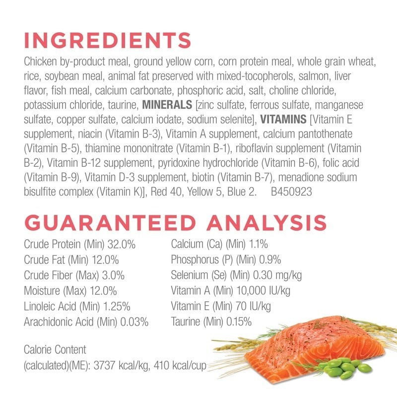 High Protein Dry Cat Food W/ Real Salmon Essential Nutrients All Life Stages New
