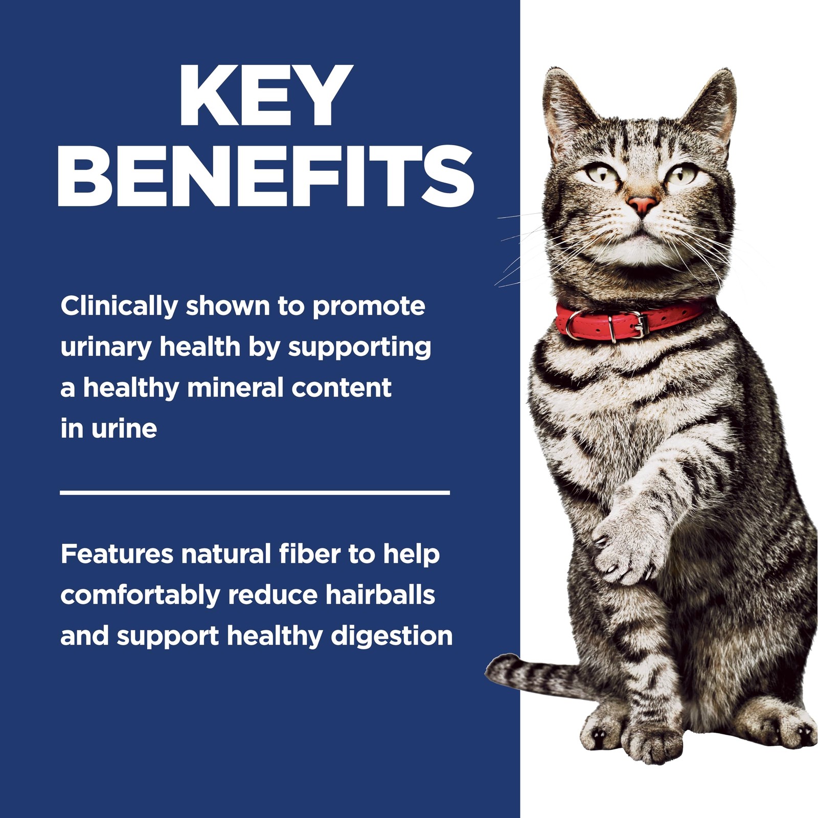 Hills Science Diet Dry Cat Food, Adult, Urinary & Hairball Control, Chicken 7lb
