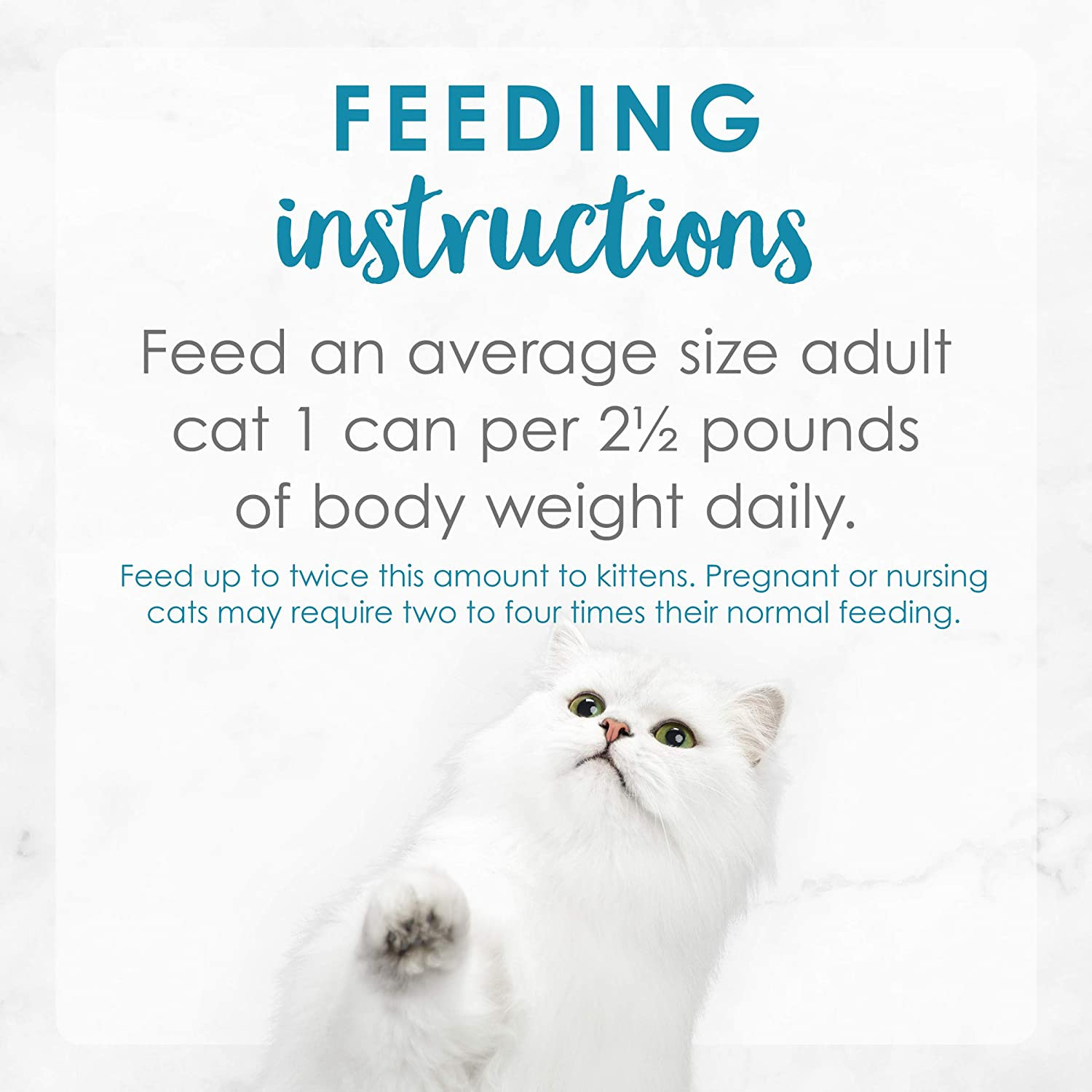Purina Grilled Wet Cat Food Seafood Collection in Wet Cat Food Variety Pack …