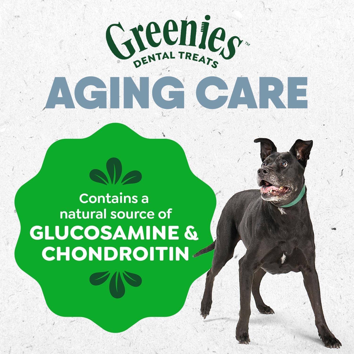 Greenies Dental Treats for Dogs, Veterinarian-Recommended Aging Care Adult Natur