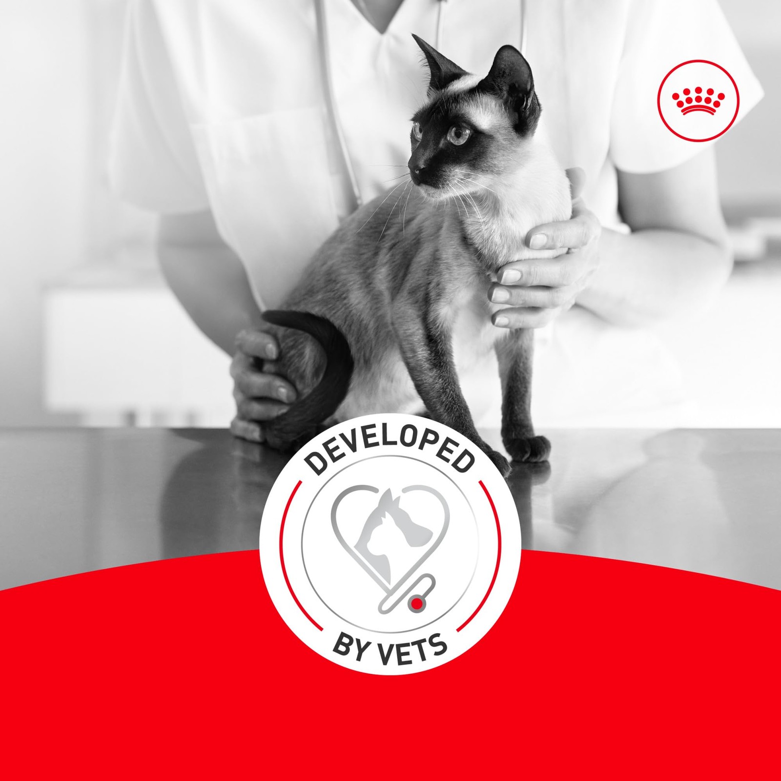 Royal Canin Feline Health Nutrition Aging 11+ Wet Cat 3 Ounce (Pack of 12)