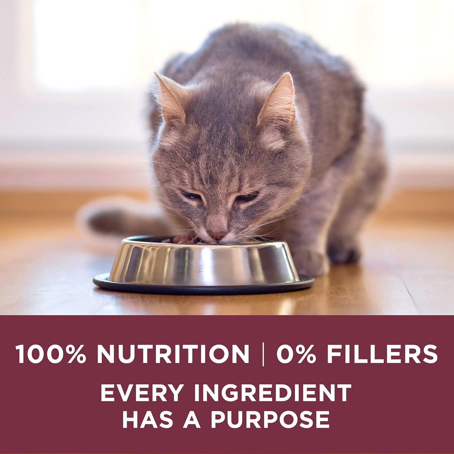 Purina ONE High Protein Dry Cat Food, +Plus Urinary Tract Health Formula – 7 Lb.
