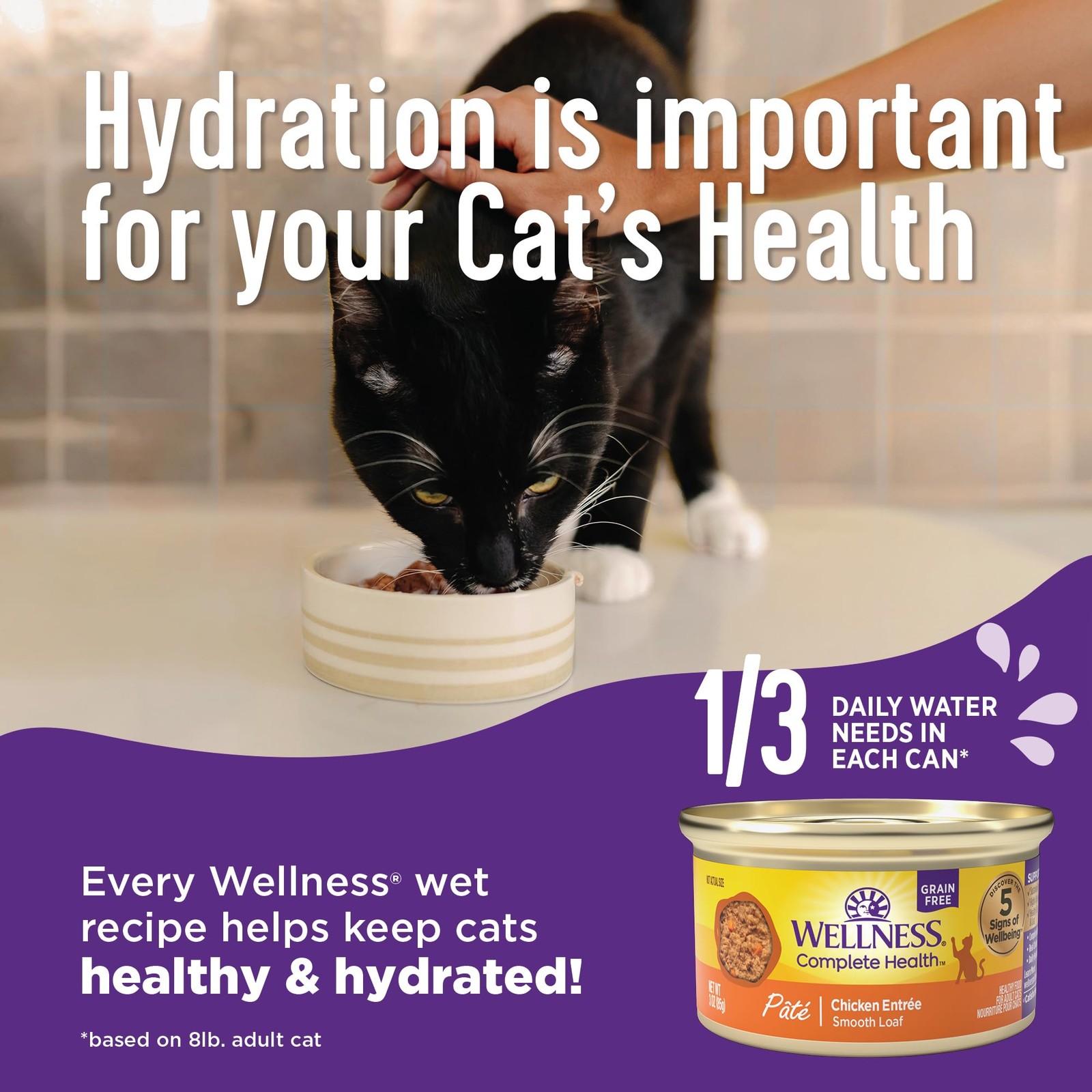 Target 24 Pack 5.53 Ounce Sliced Salmon Grain Free Wet Cat Food Canned Entree
