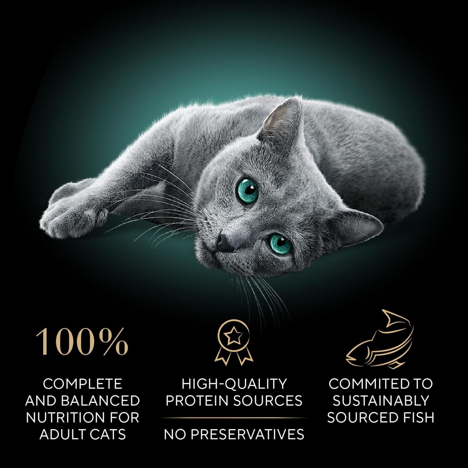 SHEBA Perfect Portions Seafood Pate Wet Cat Food (24Count)