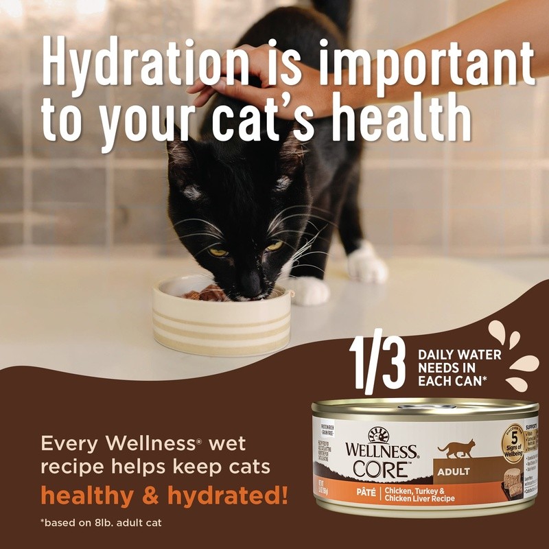 Wet Cat Food Pate Digestive Support Chicken Turkey Protein Grain Free 3oz Can US
