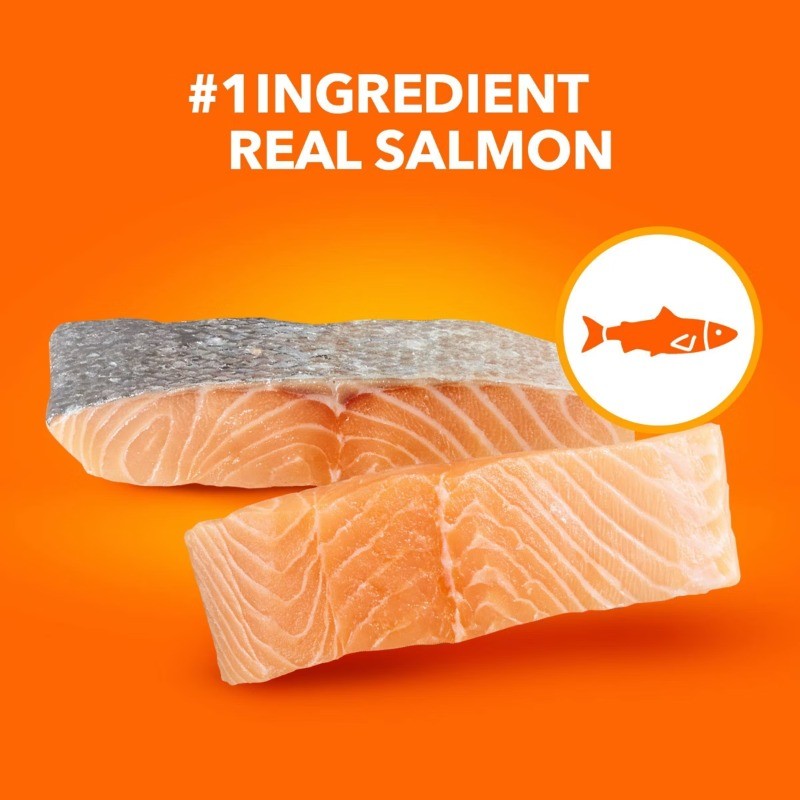 IAMS Proactive Health with Salmon Adult Premium Dry Cat Food – 16lbs