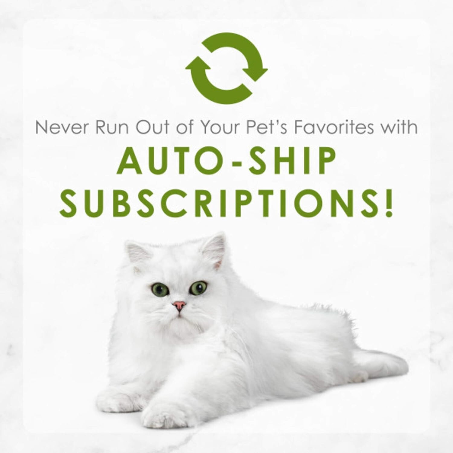 Purina Fancy Feast Pate Wet Cat Food, Medleys White Meat Chicken Primavera with