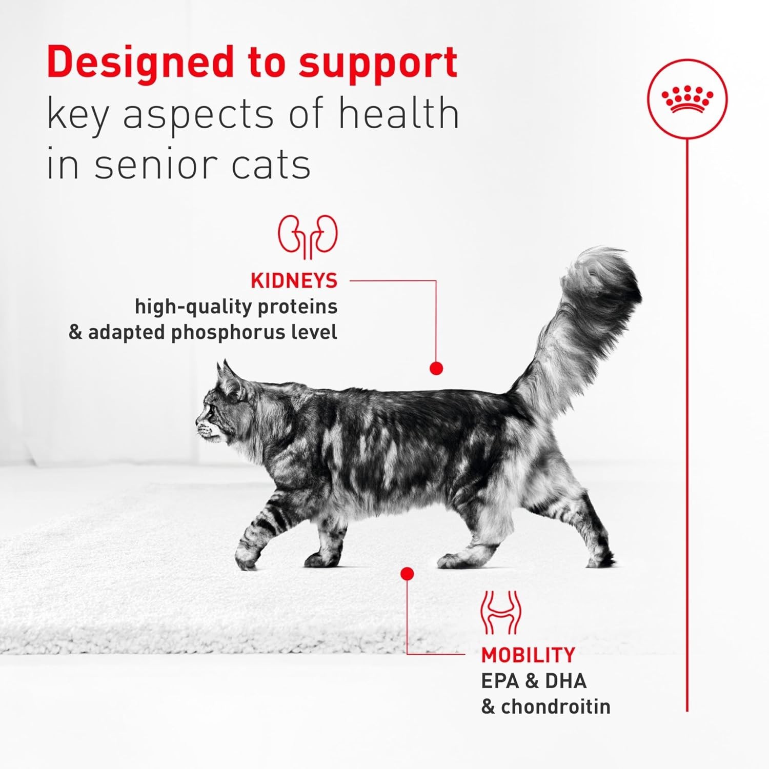 Feline Health Nutrition Aging 11+ Wet Cat Food for Seniors, Thin Slices in Gr…